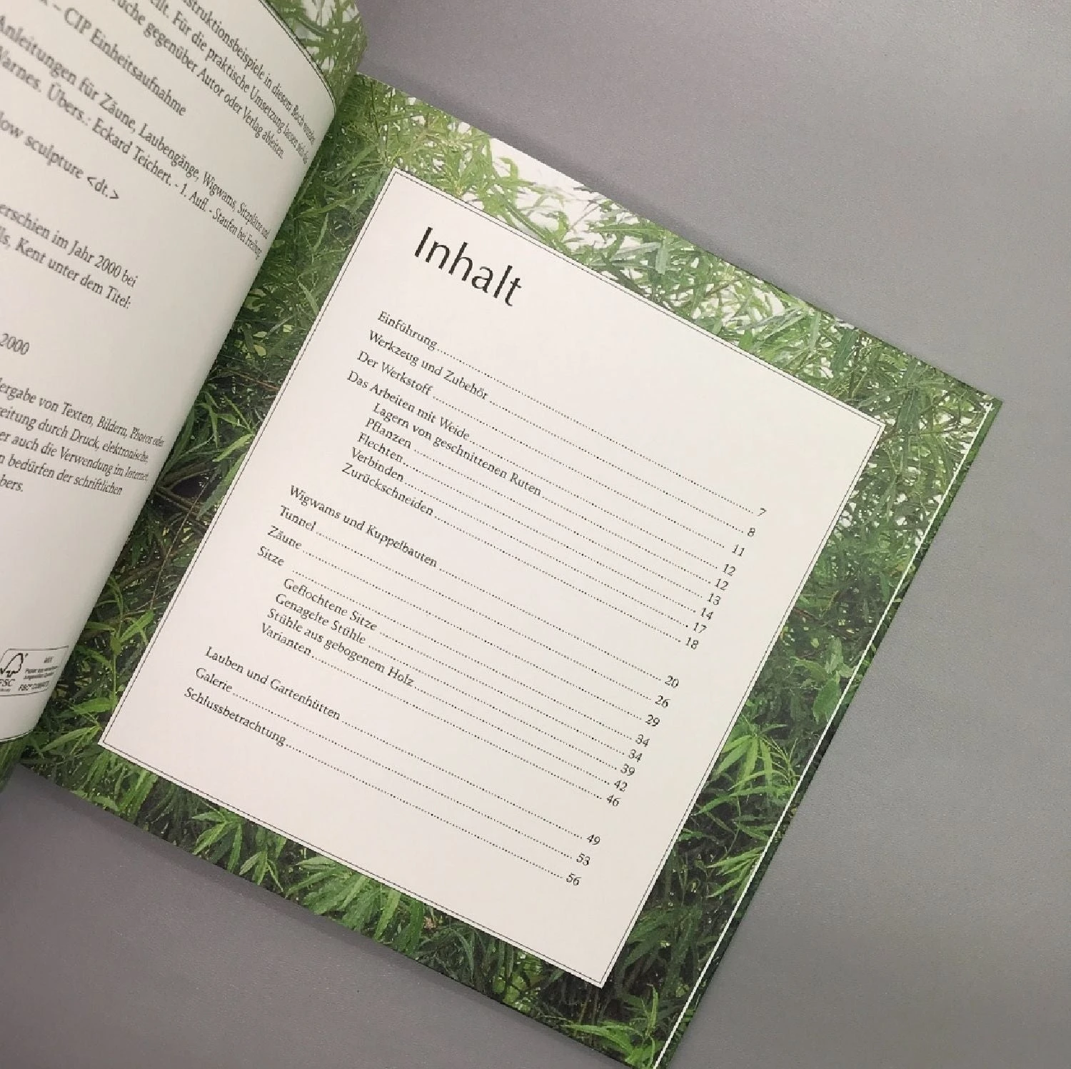 Mit Weiden Bauen (Warnes, Jom) – Bild 3