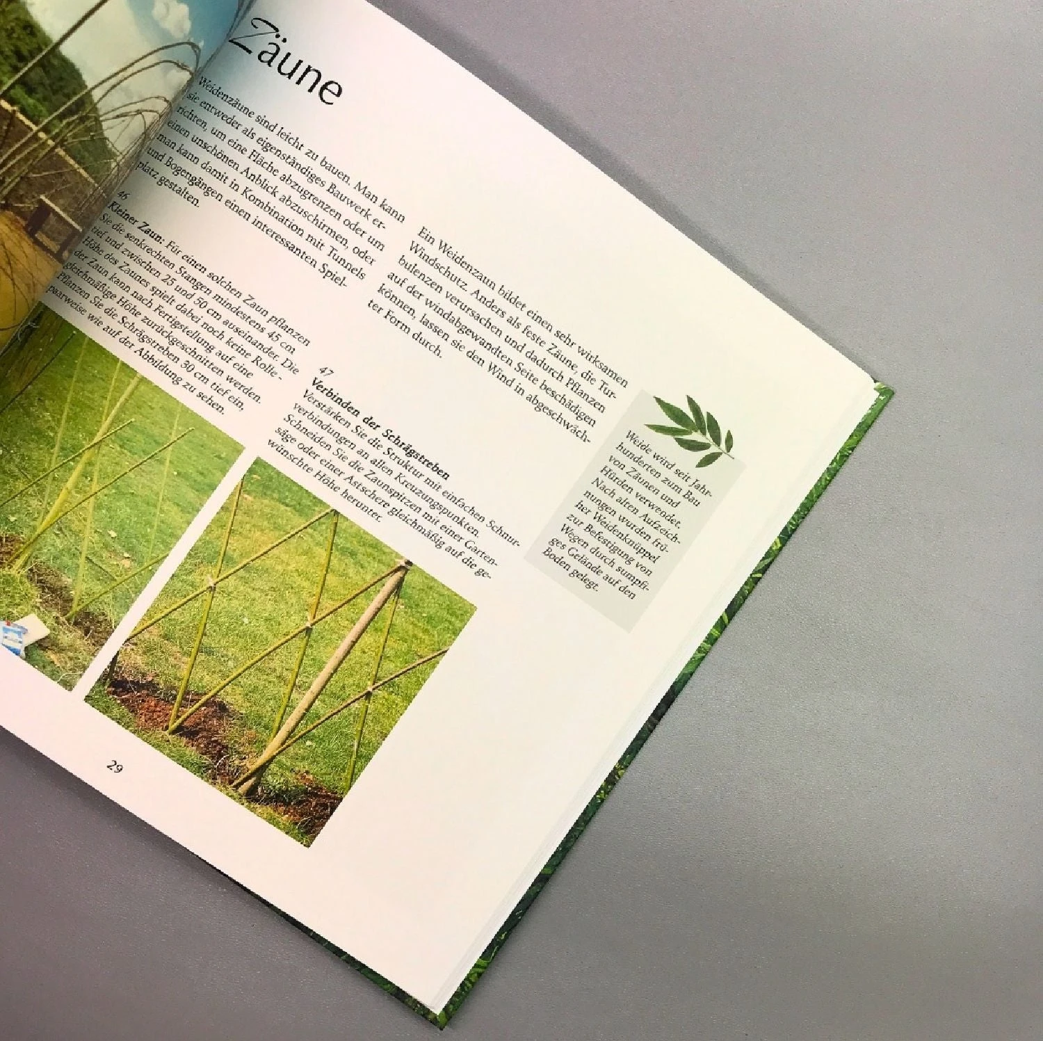 Mit Weiden Bauen (Warnes, Jom) – Bild 5