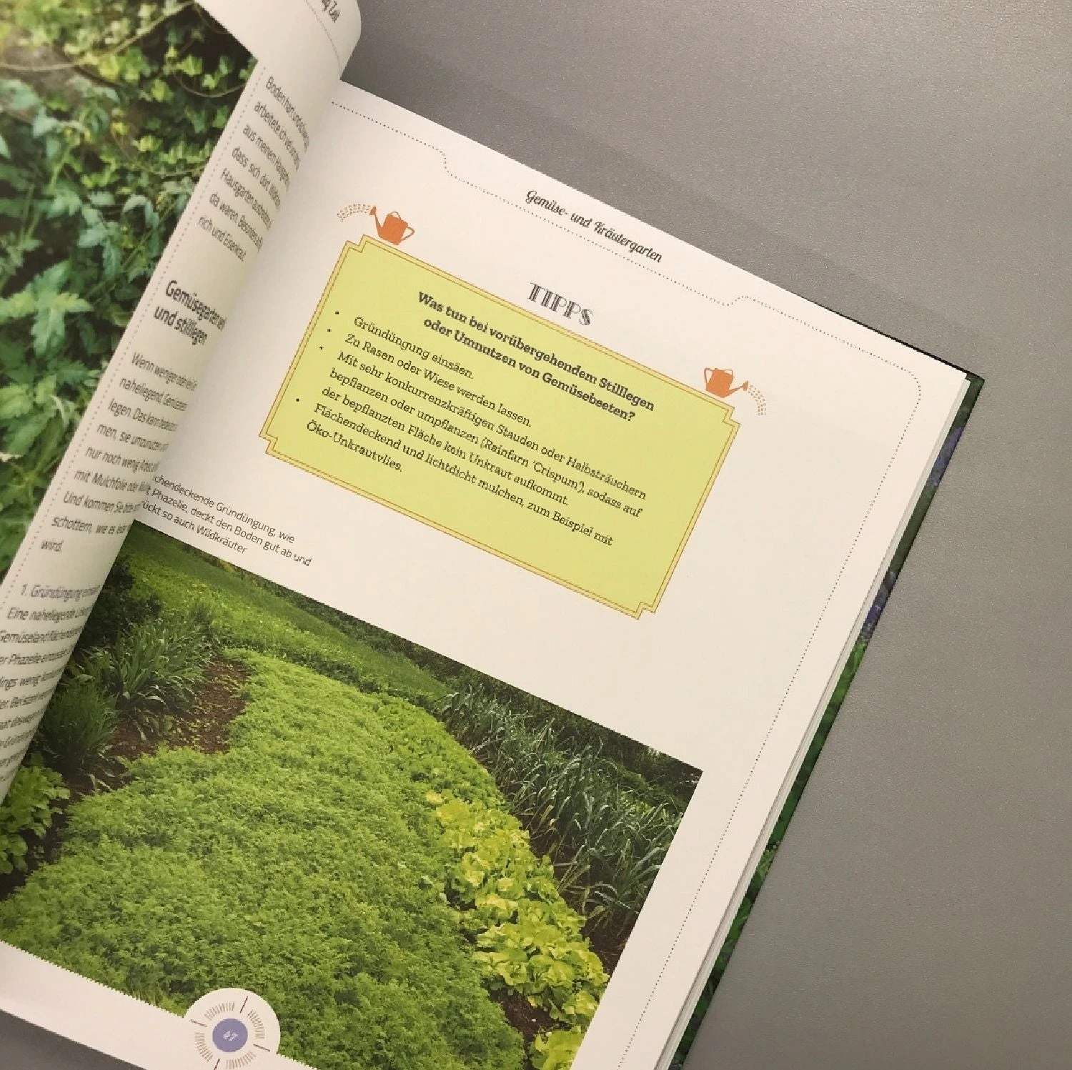 Viel Garten - Wenig Zeit (Brunhilde Bross) – Bild 5