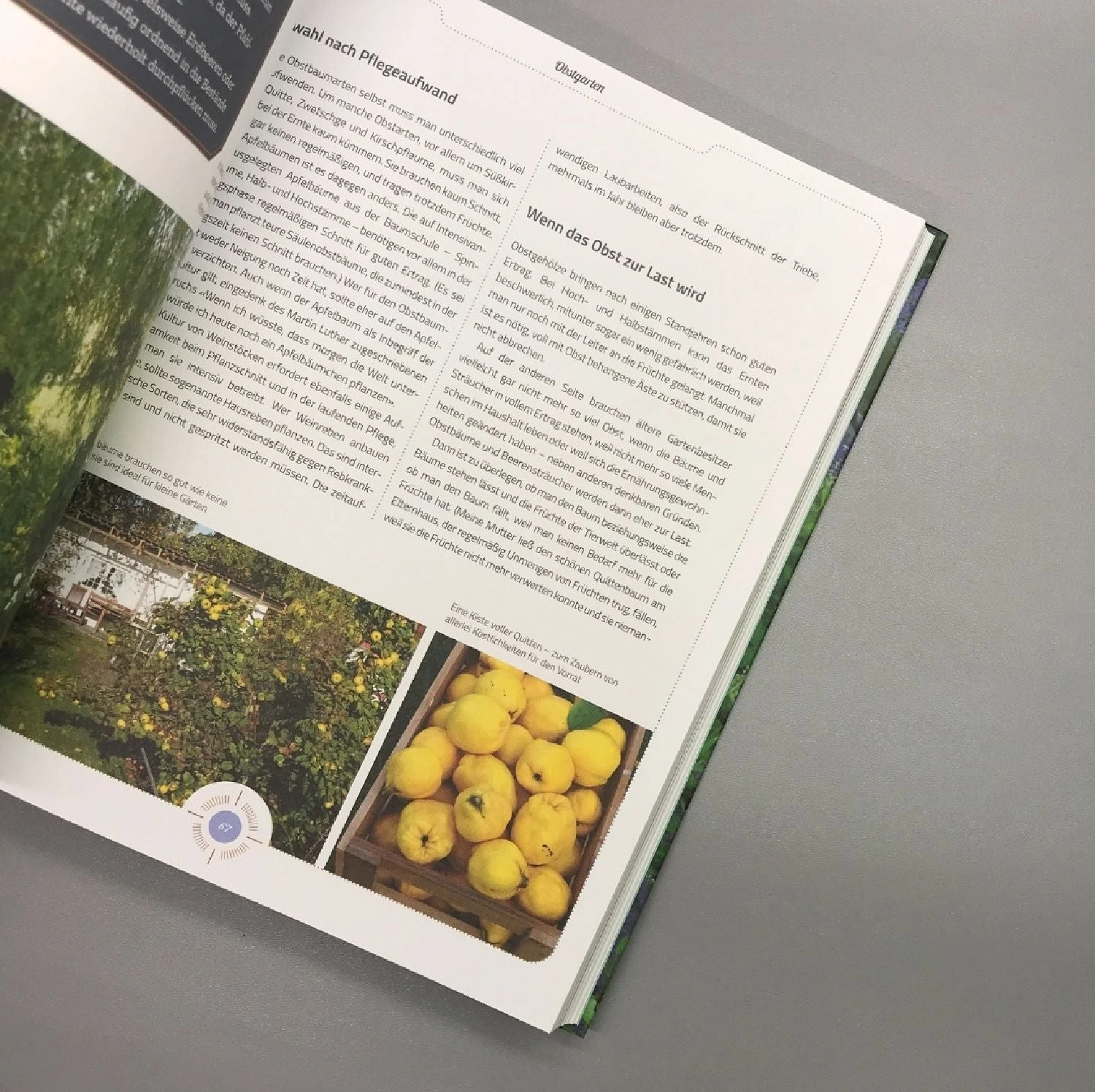 Viel Garten - Wenig Zeit (Brunhilde Bross) – Bild 6