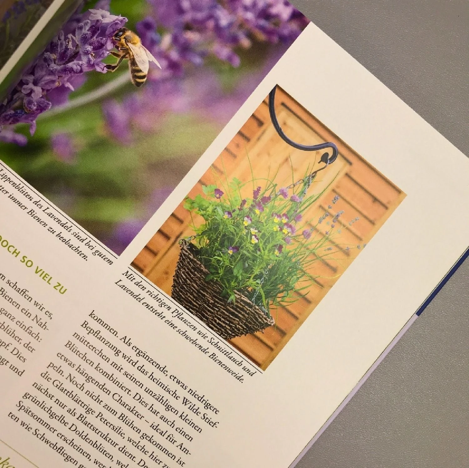 Wilde Kübel (Simone Kern) – Bild 3