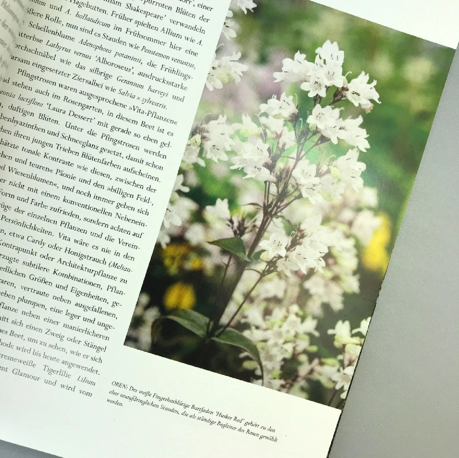 Sissinghurst Der Traumgarten (Tim Richardson) – Bild 4