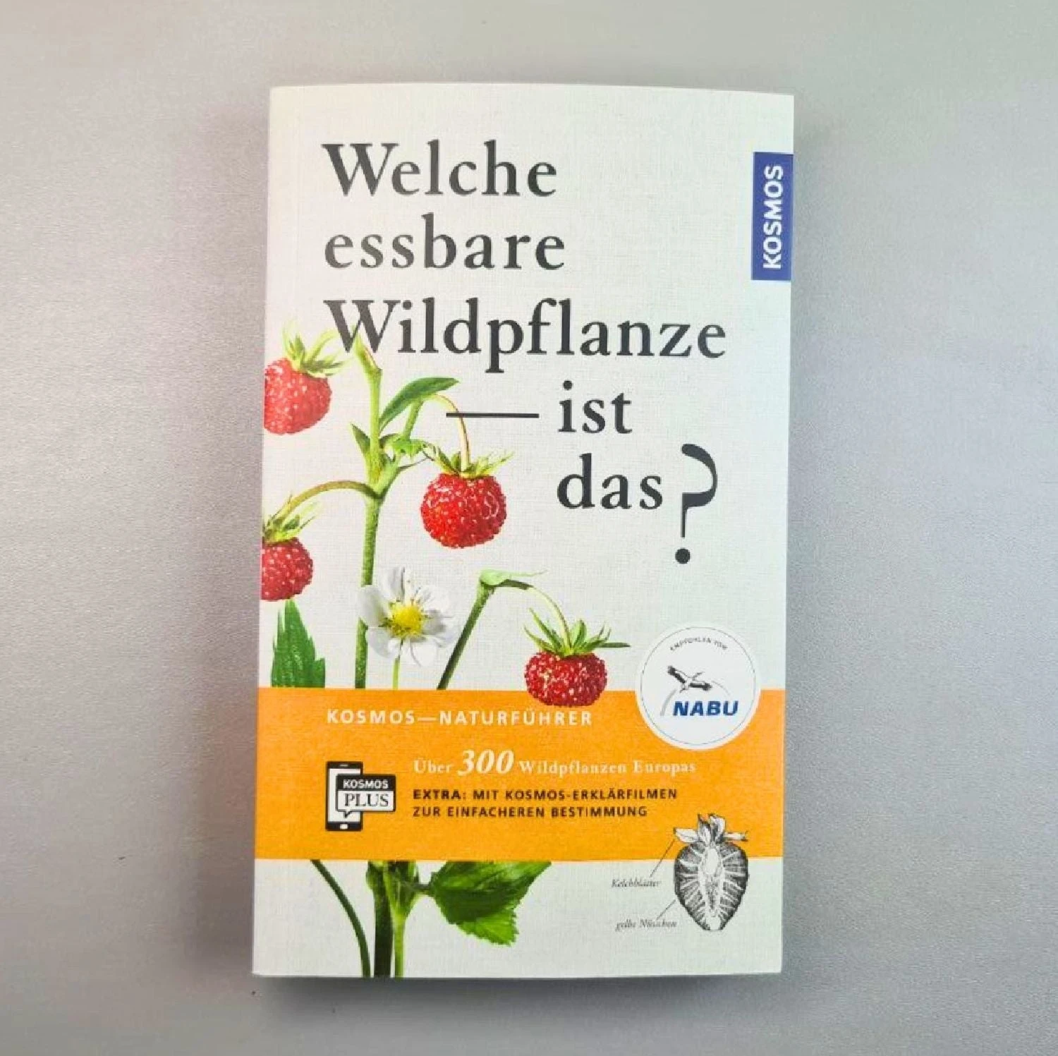 Welche Essbare Wildpflanze Ist Das? (Über 300 Wildpflanzen Europas)