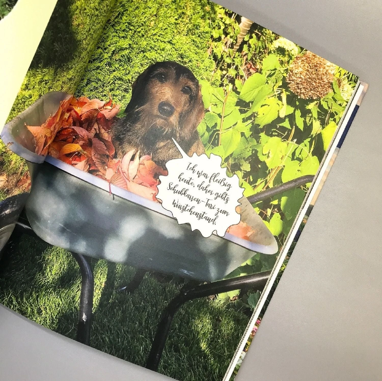 Mit Witz, Charme Und Methode (Katrin Iskam, Beate Balz) – Bild 8