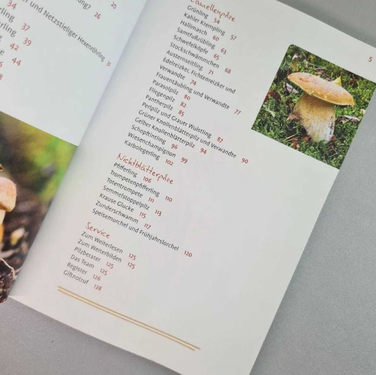 Pilze FAQ (Björn Wergen) – Bild 2