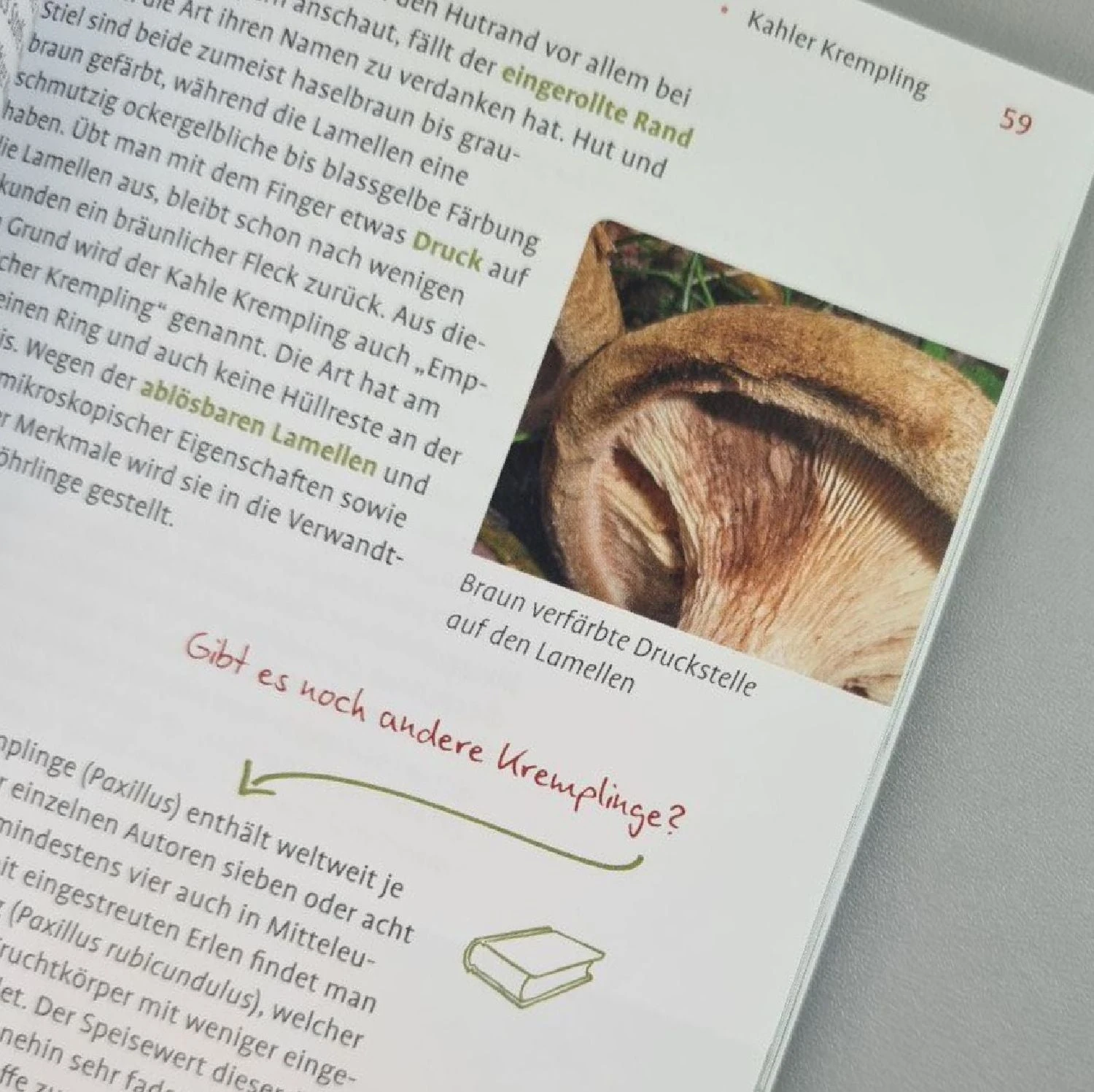 Pilze FAQ (Björn Wergen) – Bild 3